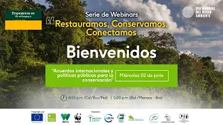 Serie webinars #DíaMundialDelMedioAmbiente | Acuerdos internacionales y políticas conservación