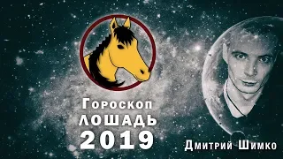 Гороскоп Лошадь -2019. Астротиполог, Нумеролог - Дмитрий Шимко