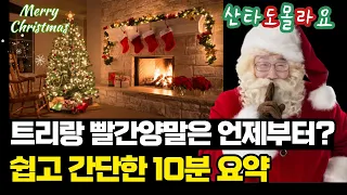 당신이 모르는 크리스마스의 진실ㅣ세상에, 크리스마스 트리🎄가...이거였어??