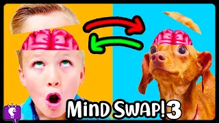 BRAIN SWAP 3! HobbyBear Trades Minds with HobbyFlappy - Adventure by HobbyKidsTV