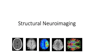 ABPP-CN: Structural Neuroimaging