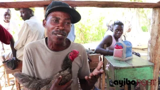 SakDiSakVre - Yon Gagè rebay Fondikak lespwa