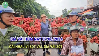 CẬP NHẬT GIÁ VẢI THIỀU CHÍNH VỤ VÀ VẢI THANH HÀ, U HỒNG HÔM NAY 07/06/2024