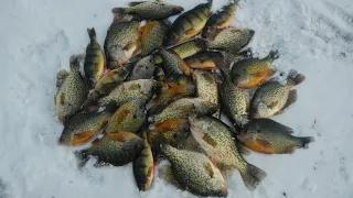 Slaying Panfish - Jumbo Perch, Crappie, Sunfish - Ice Fishing 2021