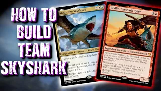 How To Build Team SkyShark: Brallin and Shabraz Build Guide - Combo and Aggro