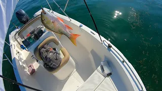 Fishing Sea-Trout, Line Snapper , Mutton Snapper. Lower Keys, Florida