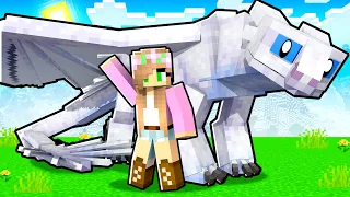 We Rescue Kelly and her Light Fury! - Minecraft Dragons