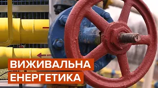 В этом году Украина получит альтернативу русскому газу