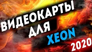 Какую видеокарту выбрать для Intel XEON в 2020 Оптимальные связки ВИДЕОКАРТ и ЗЕОНОВ 2020