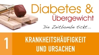 1. Krankheitshäufigkeit und Ursachen - Diabetes & Übergewicht - Dr. med. Winfried Küsel