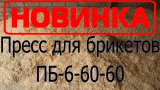 Гидравлический пресс для производства топливных брикетов ПБ-6-60-60 от компании МОЛОТ .