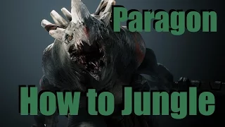 Paragon | Beginner Jungle Guide