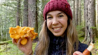 Wild Chanterelle Mushroom Hunting + The Best Way to Cook Chanterelles | Foraging in the PNW