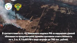 Профилактика лесных пожаров (15 секунд)