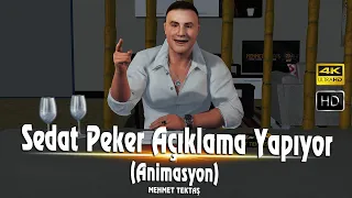 Sedat Peker Açıklama Yapıyor (Animasyon) 📽️ HD 4K 🎬 || Mehmet Tektaş