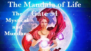 The Mandala of Life/ Episode 62 /The Gate 54/The Magical and Mundane