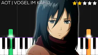 Attack on Titan OST  - Vogel im Käfig | EASY Piano Tutorial