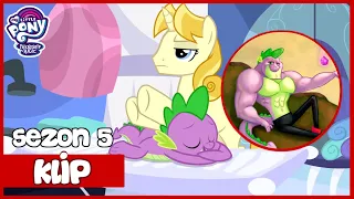 Spike Wykorzystuje Relacje z Twilight | My Little Pony | Sezon 5 | Odcinek 10 | Księżniczka Spike