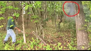 MAJOR RESPONSES From The Bigfoot Sasquatch Forest After Loud Piercing Tree Knock And Rare Sightings!