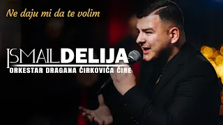 Ismail Delija & ork. Dragana Cirkovica Cire - Ne daju mi da te volim (Cover 2023)