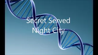 Secret Service - Night City - Razormaid Promotional Remix (HQ Remaster)