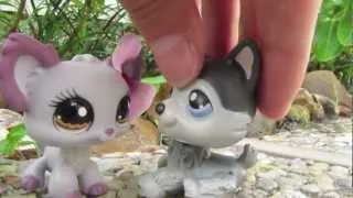 Littlest Pet Shop: A Thousand Years Music Video