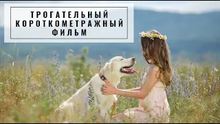 Трогательный короткометражный фильм про девочку и собаку