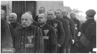 The pink triangle prisoners: The Nazis’ persecution of homosexual men