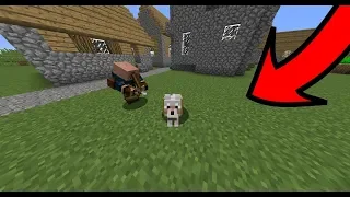 SOHA NE KERESS VADÁSZT A MINECRAFTBAN!