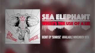 Sea Elephant - What's The Use Of A Lie?