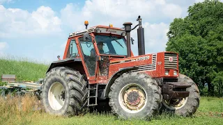 Fiatagri 180-90 Turbo DT + Erpice a Dischi Spedo