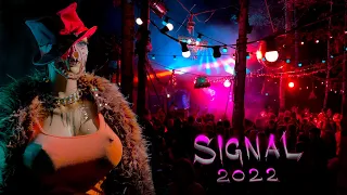 signal 2022 Сигнал фестиваль электронной музыки  Мультфильмы Волк и заяц от klubmultfilmi