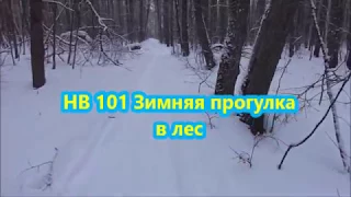 Как приготовить НВ 101-Стимулятор роста Зимняя прогулка