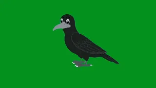 Crow Talking and Flying Free green screen/Copyright free green screen video#crow#birds