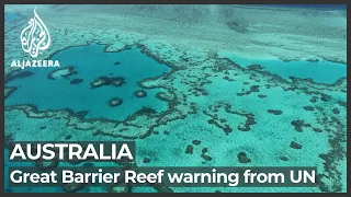 ‘In danger’: UNESCO flags risk to Australia’s Great Barrier Reef