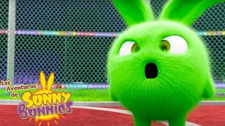 EL CONEJITO NÚMERO UNO - Las Aventuras de Sunny Bunnies | Dibujos para niños