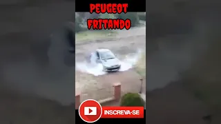 Peugeot 206 Fritando Pneus