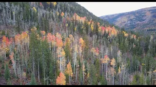 Waterfalls and Fall Colors in the Wasatch Mountains of Utah by Drone