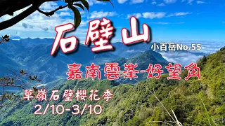 石壁山嘉南雲峰草嶺櫻花季