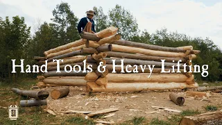 Building Log Cabin Walls - Townsends Homestead Part One