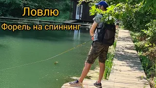 Наловили форели и приготовили её на мангале🎣)))