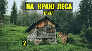 ВОЛК ПРИХОДИТ к СОБАКЕ ВОЛКОДАВ СЛУЧАЙ в ТАЙГЕ СУДЬБА  ДОМ в ЛЕСУ ЖИВОТНЫЕ ИСТОРИИ из ЖИЗНИ СЕРИАЛ 2