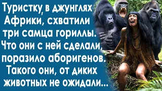 Туристку в джунглях Африки, схватили три самца гориллы. Что они с ней сделали, поразило аборигенов..