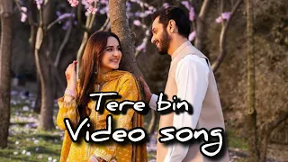 Tere bin video song❤️#terebin#love#lovestatus#pakdrama#yumnazaidi#wahajali #terebinseason2#meerasim