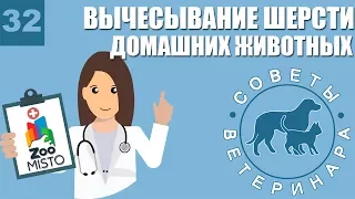 Вычесывание шерсти домашних животных | Как правильно вычесывать животных | Советы Ветеринара