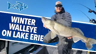 Wild Winter Walleye on Lake Erie