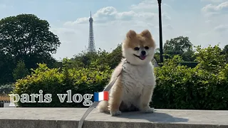 파리여행vlogㅣ몽마르뜨에 간 순금이ㅣ파리쇼핑하울ㅣ강아지랑 파리여행🇫🇷