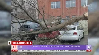 Десятки поранених і троє загиблих: ураганний вітер встиг накоїти лиха в Україні