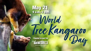 World Tree Kangaroo Day 2023