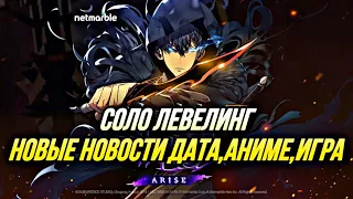 SOLO LEVELING ARISE : ИЗВЕСТНА ДАТА ВЫХОДА, НОВЫЙ ТРЕЙЛЕР И ЗАГРУЗОЧНЫЙ ЭКРАН!